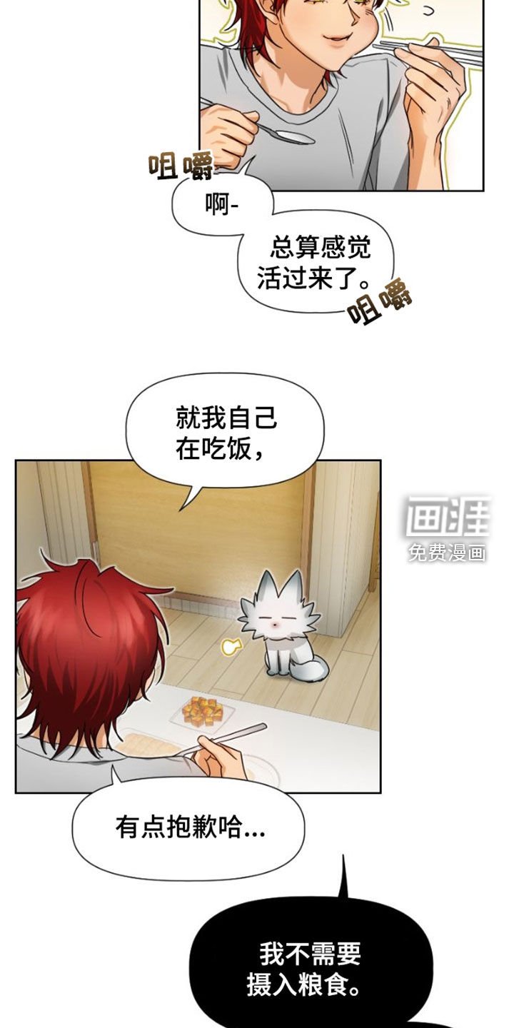 第13章：担心