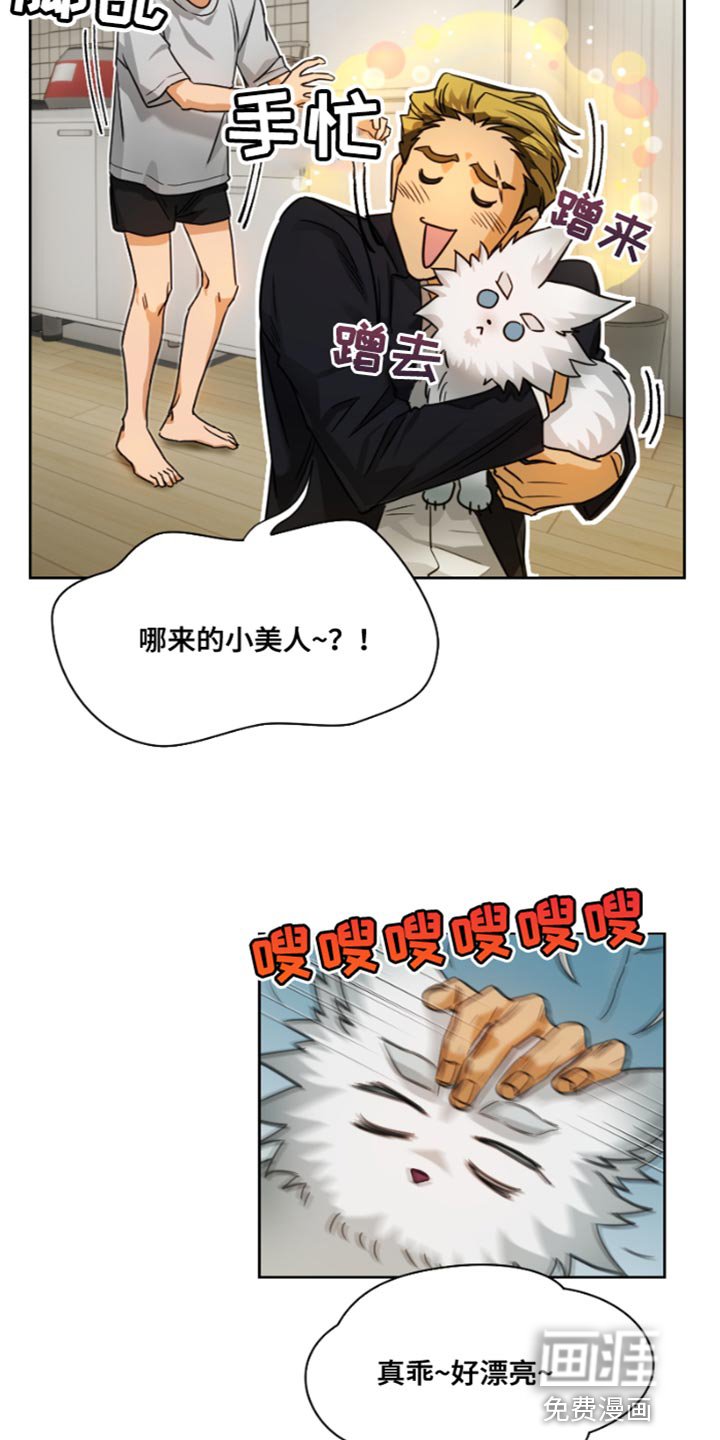 第17章：真是无礼