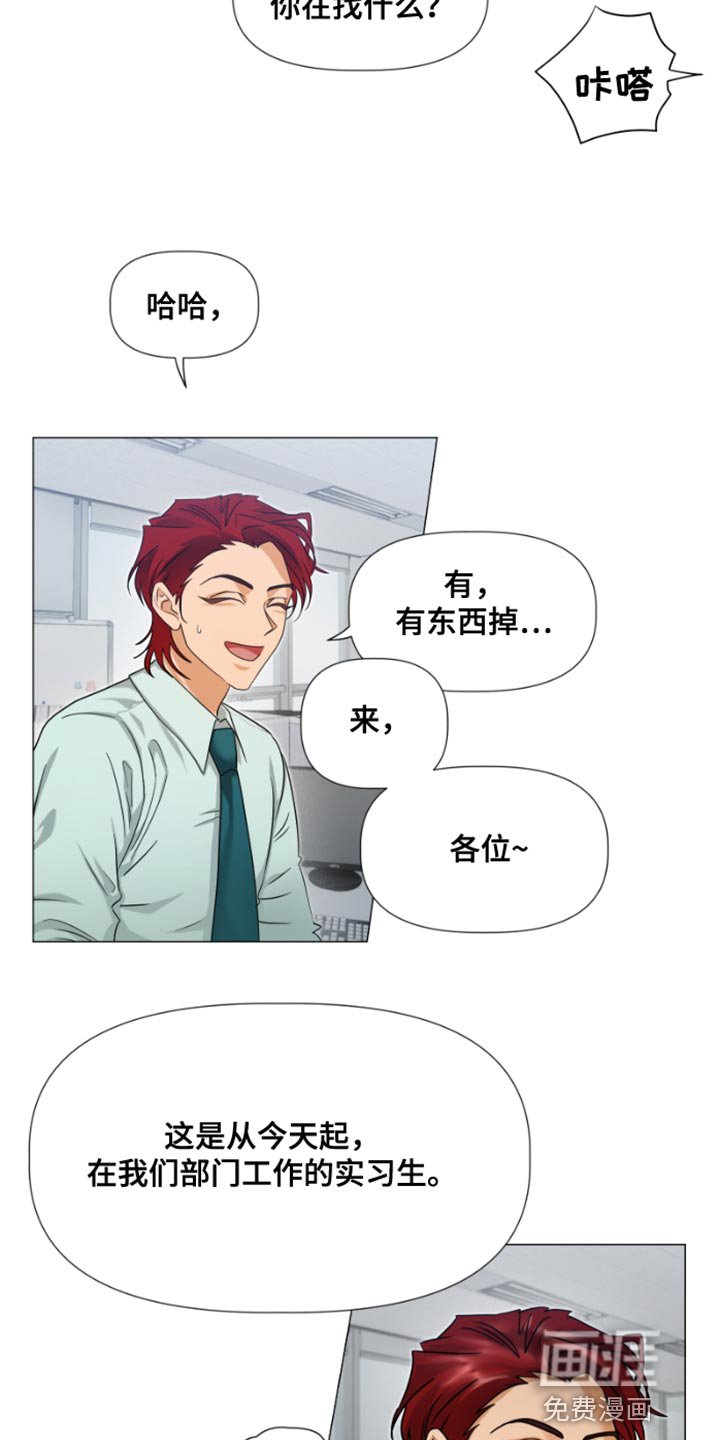 第19章：实习生