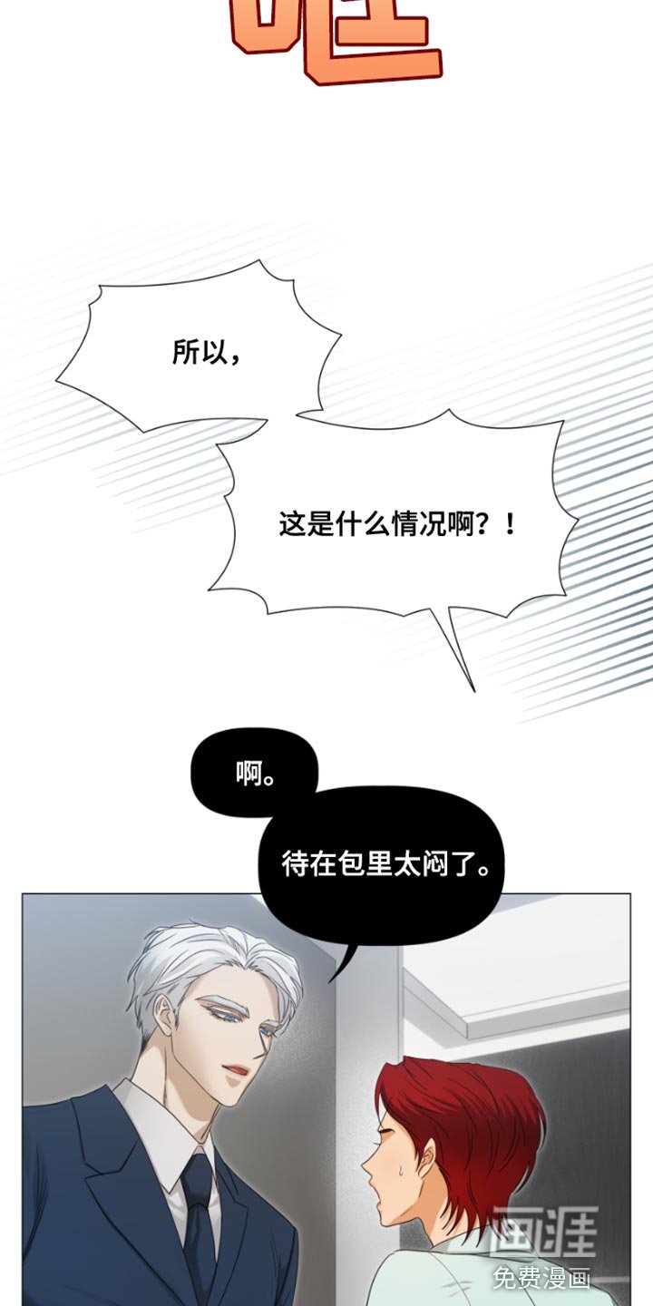 第20章：不记得了
