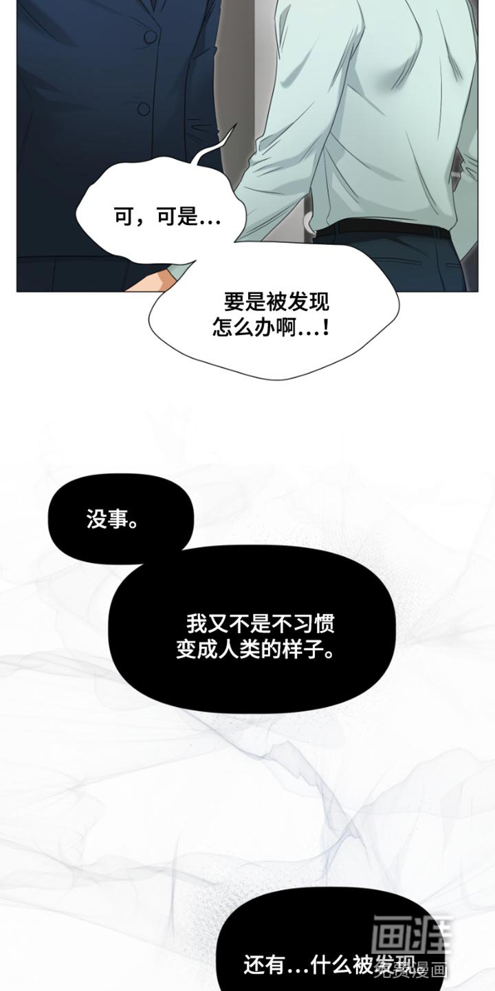 第20章：不记得了