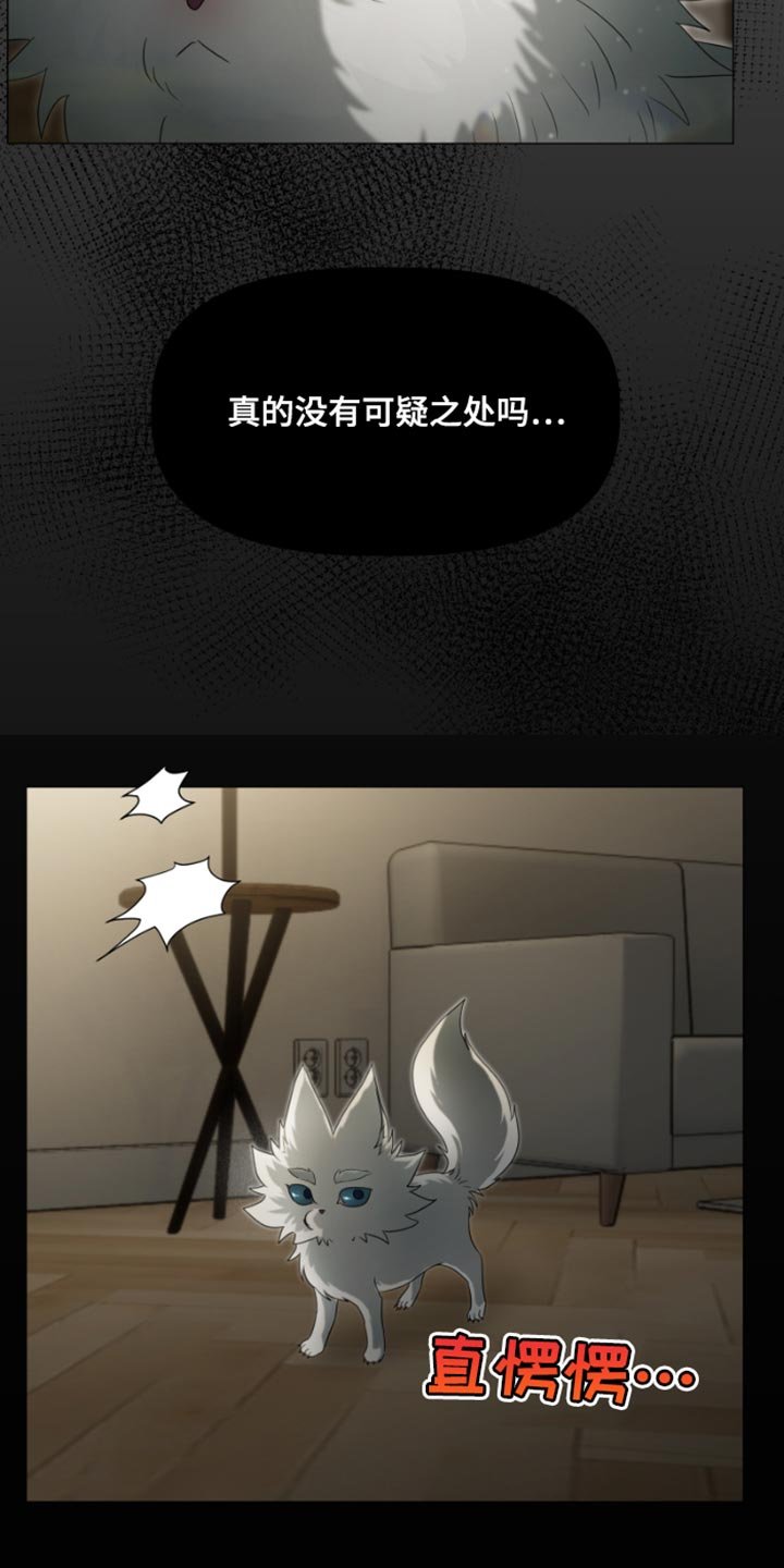 第27章：可疑之处