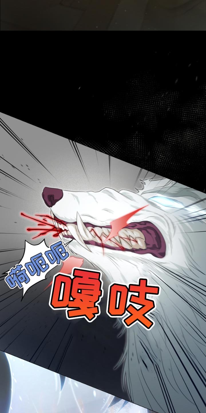 第27章：可疑之处