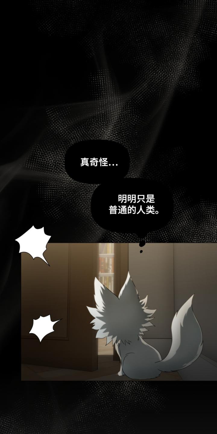 第27章：可疑之处