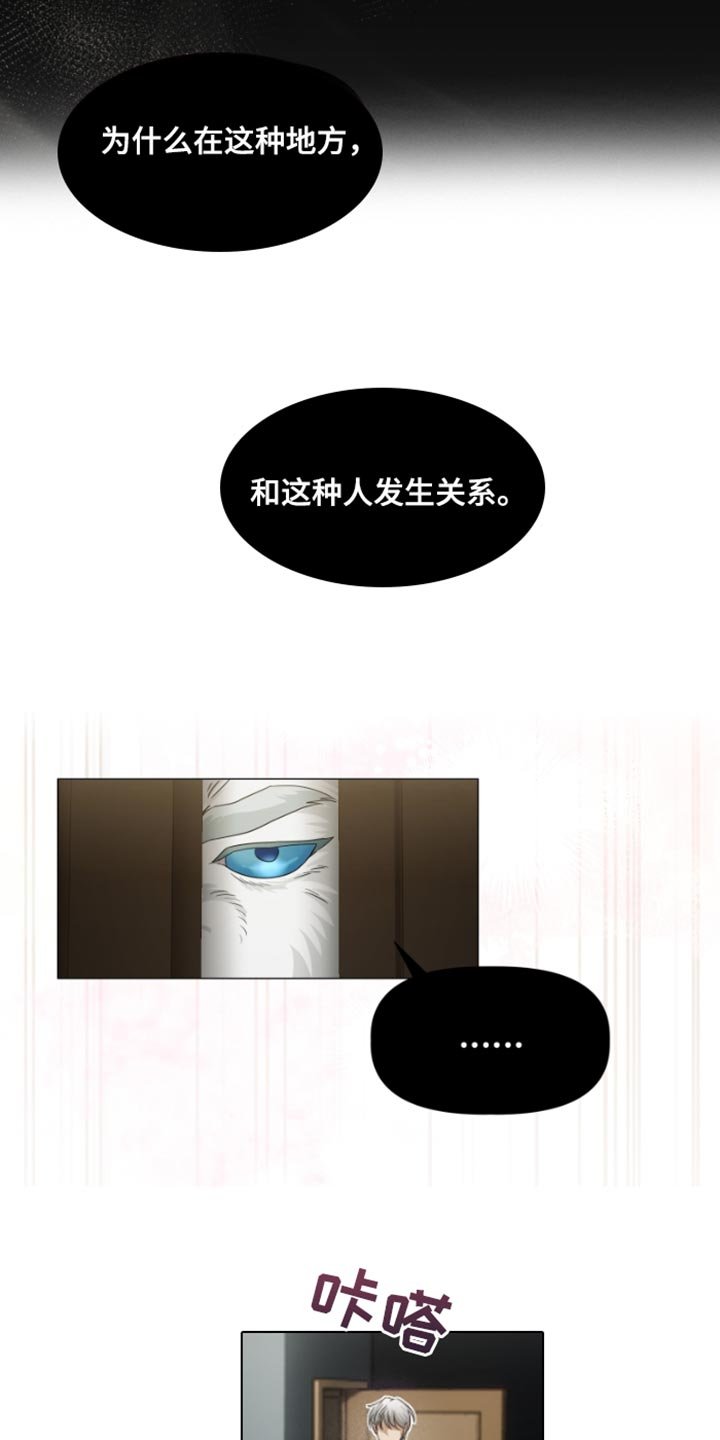 第27章：可疑之处