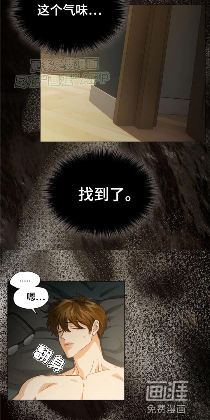 第29章：合适的容器