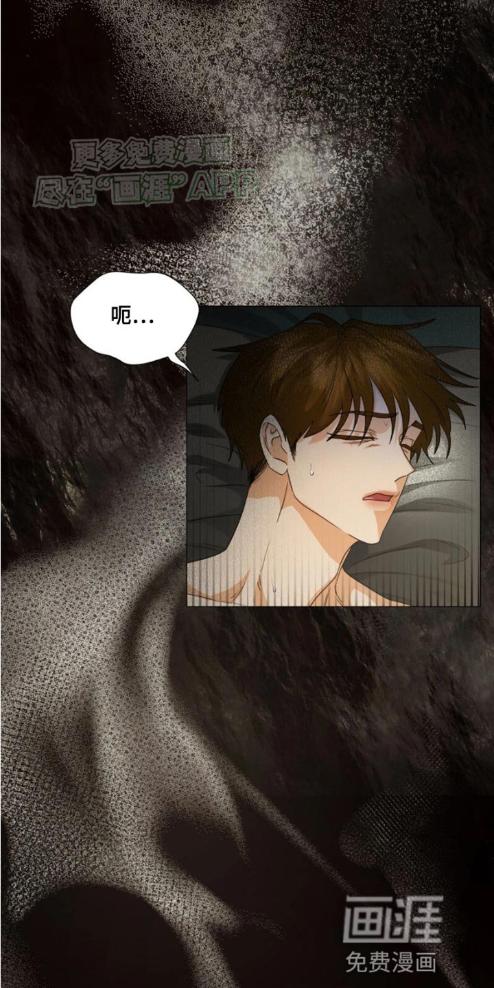 第29章：合适的容器