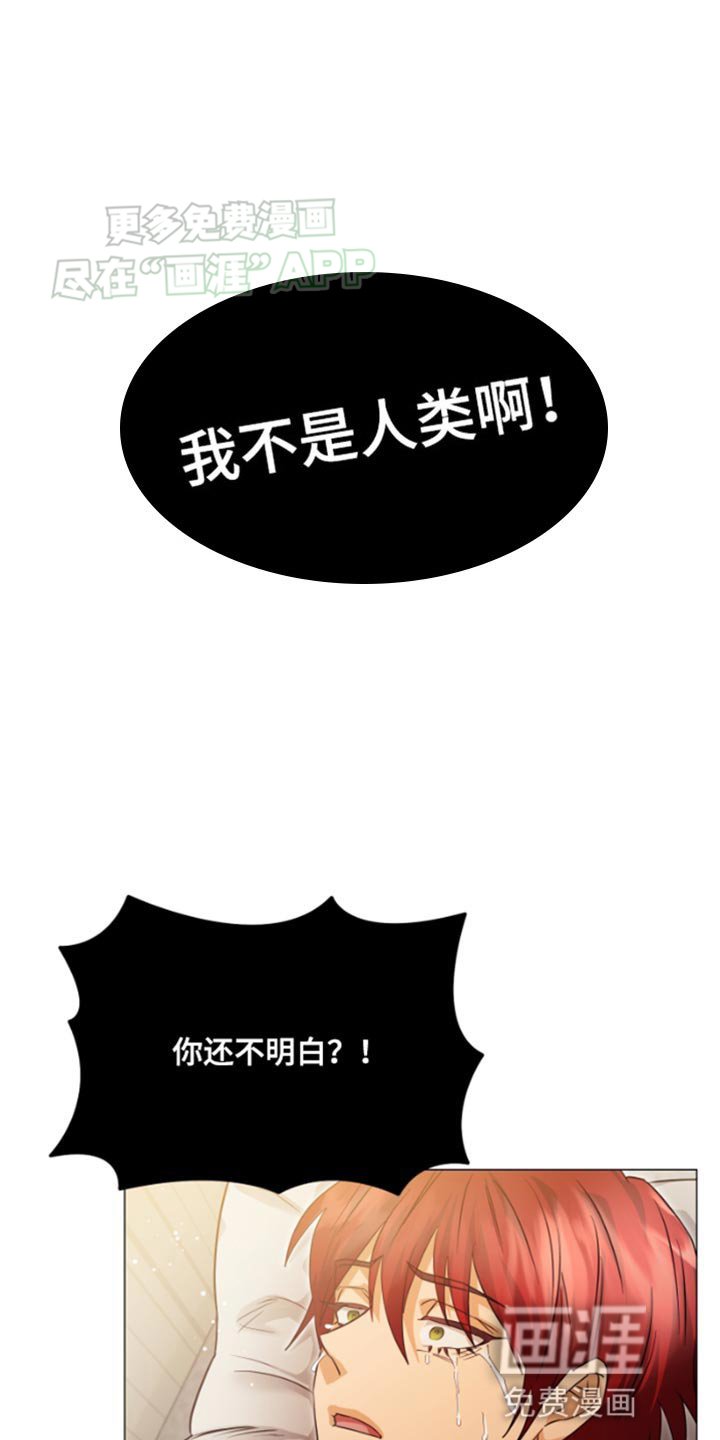 第31章：很了解我？