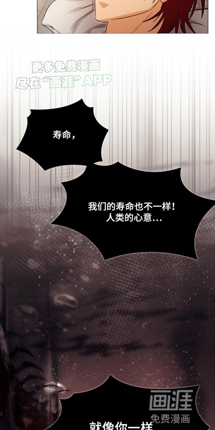 第31章：很了解我？