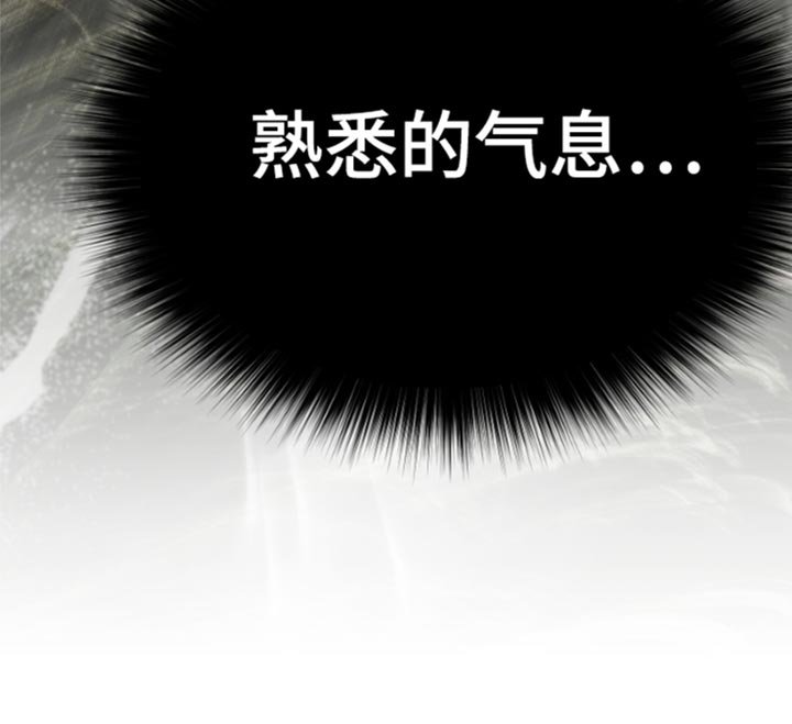 第33章：熟悉的气息