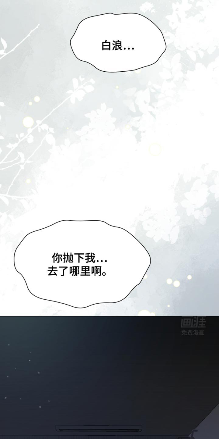 第39章：白猫【完结】