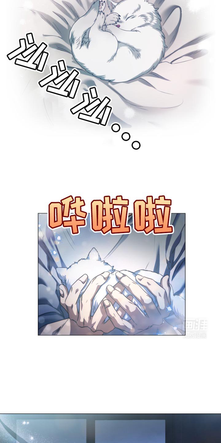 第39章：白猫【完结】