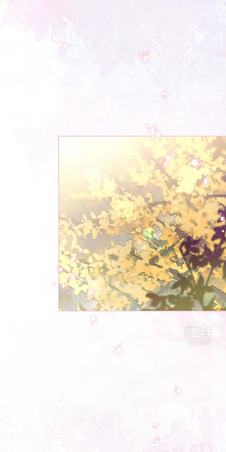 第39章：白猫【完结】