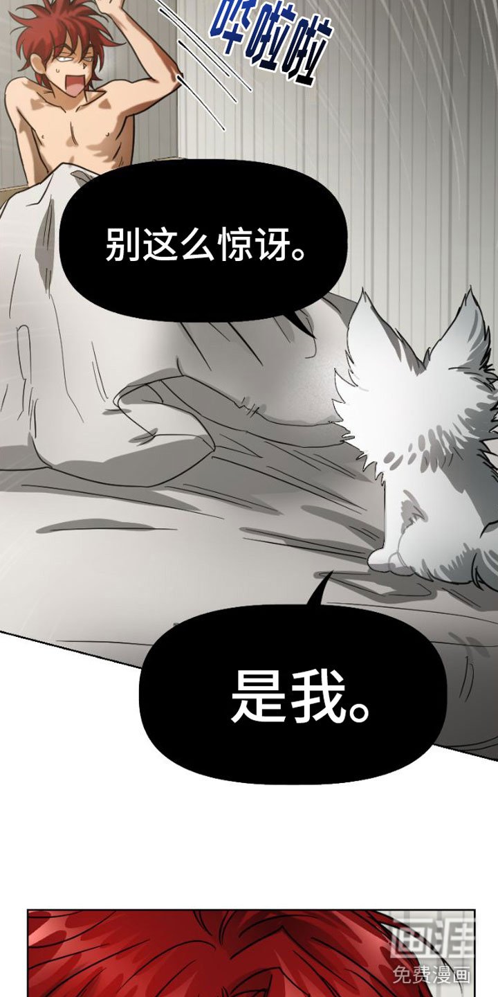 第5章：违背