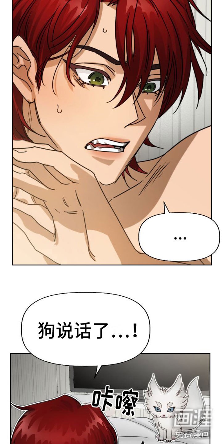 第5章：违背