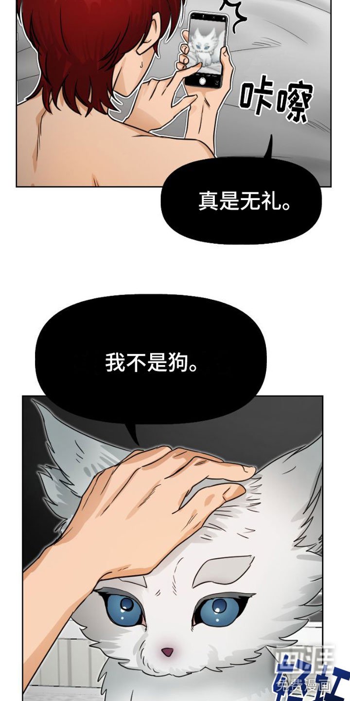 第5章：违背