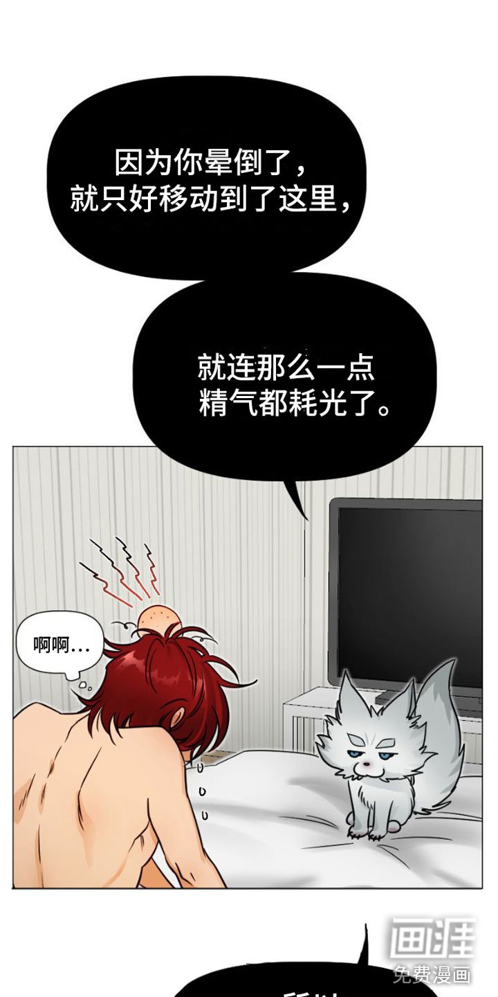 第5章：违背