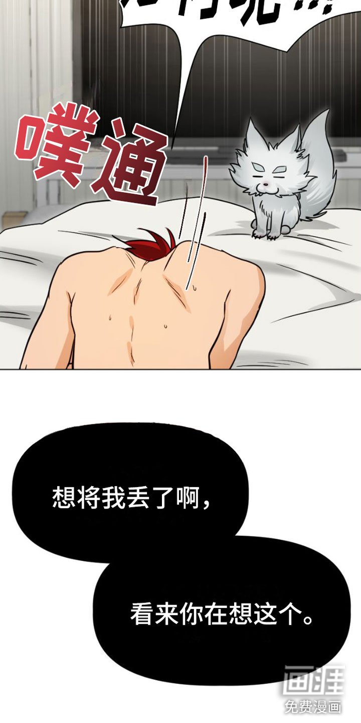 第5章：违背