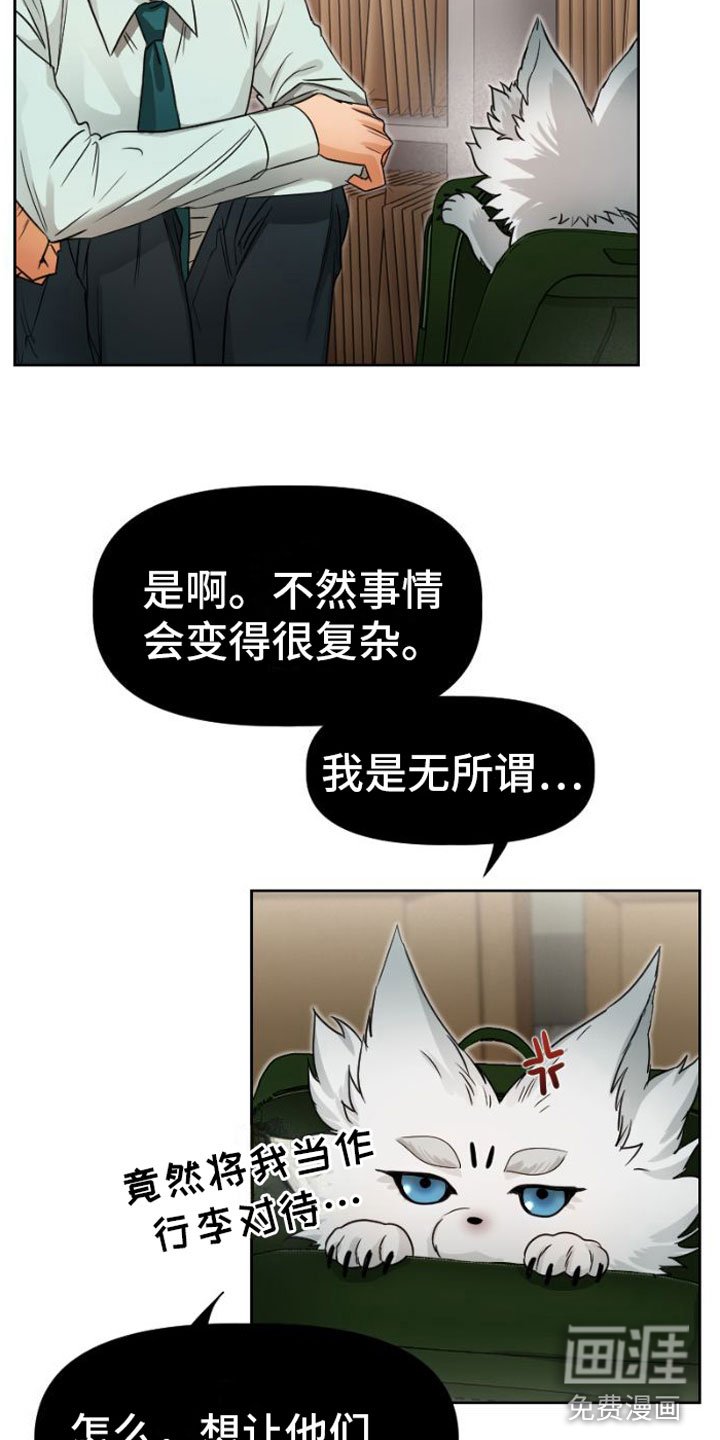 第8章：质问