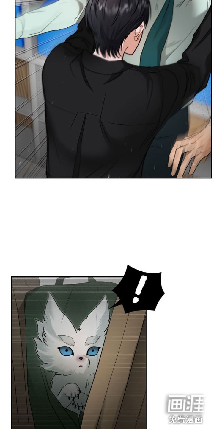 第9章：吻