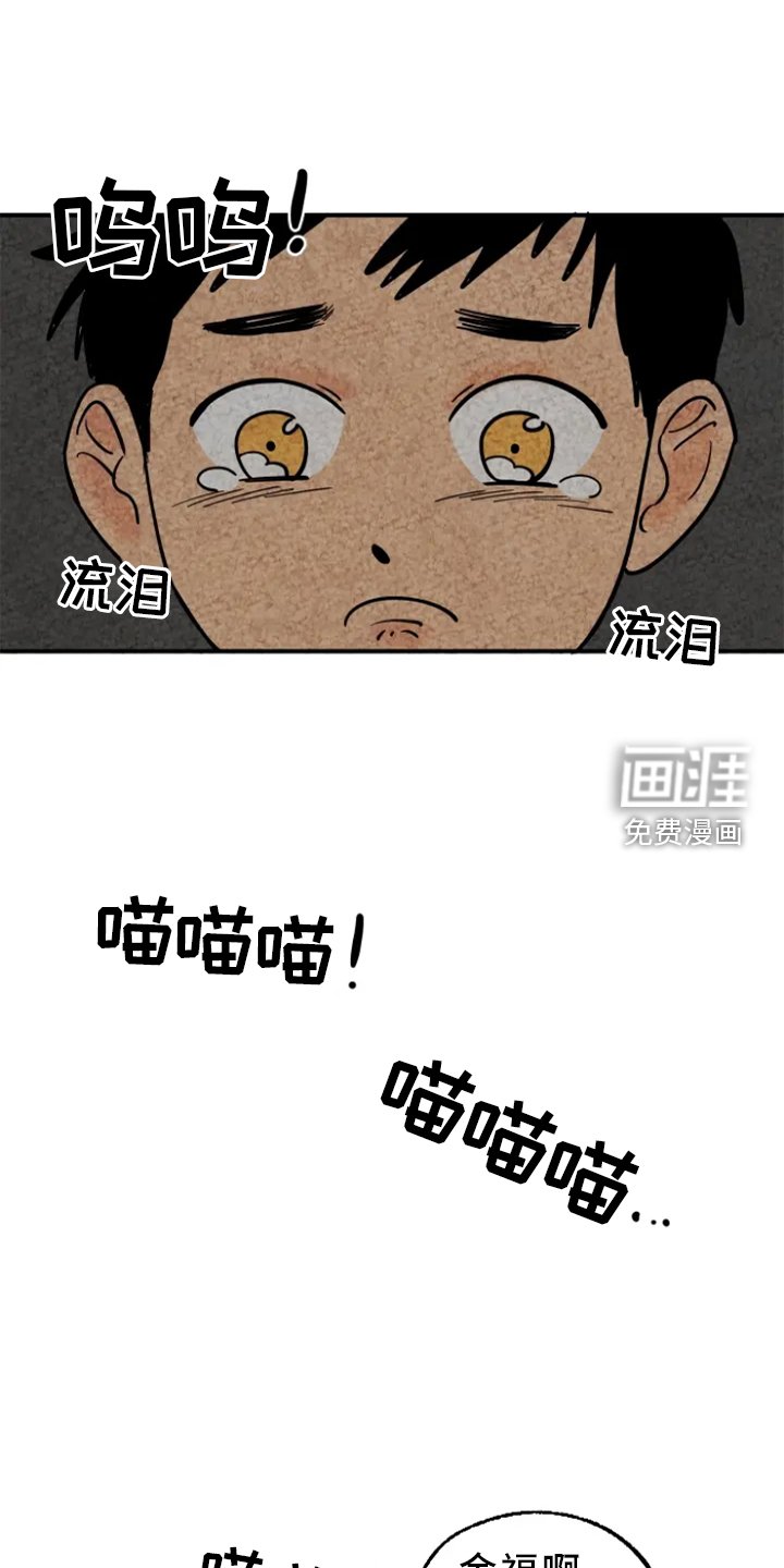 第11章：家人