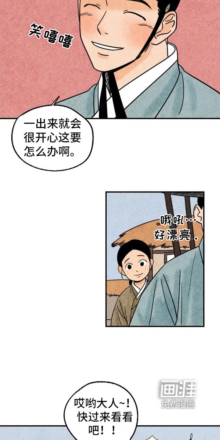 第13章：围巾