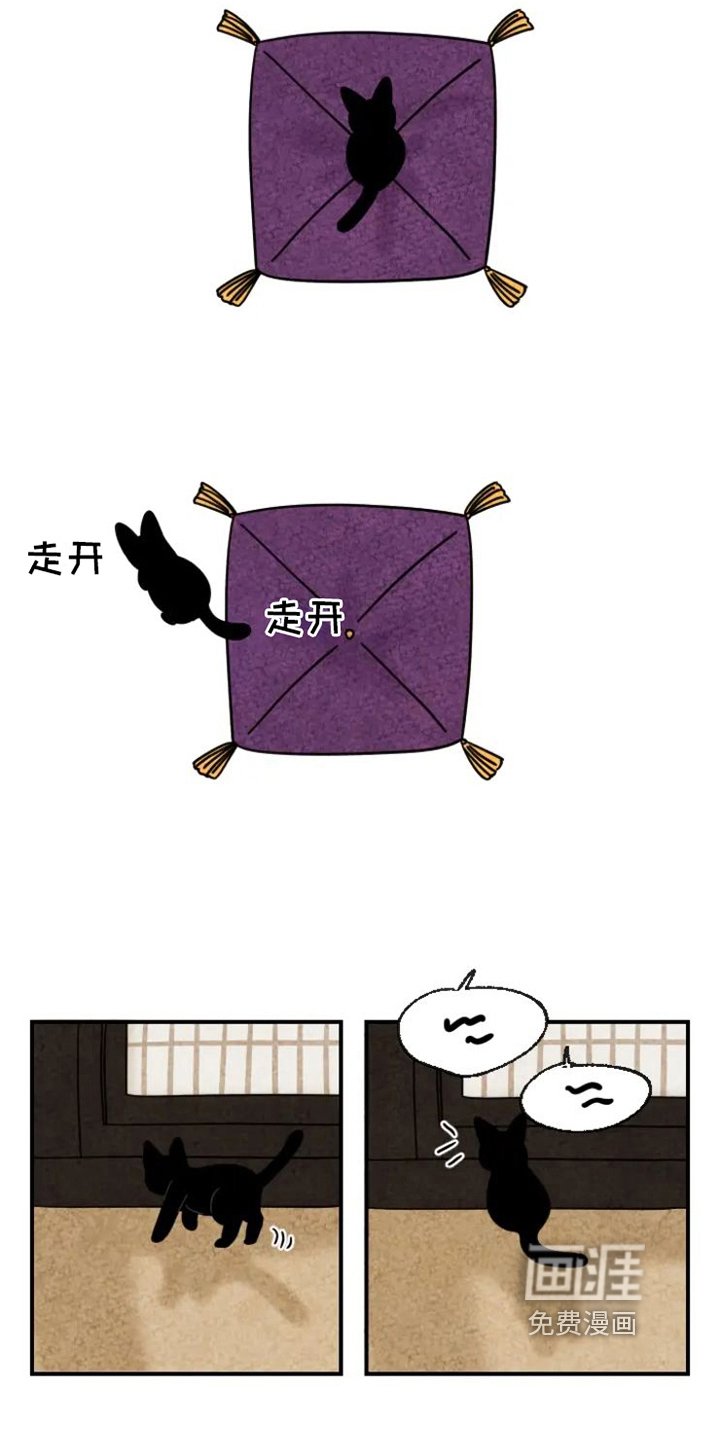 第13章：围巾