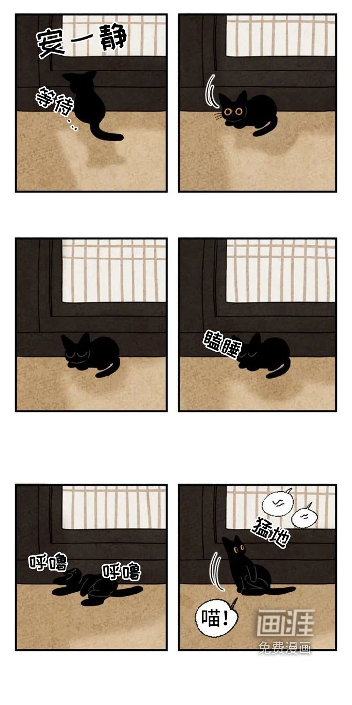 第13章：围巾