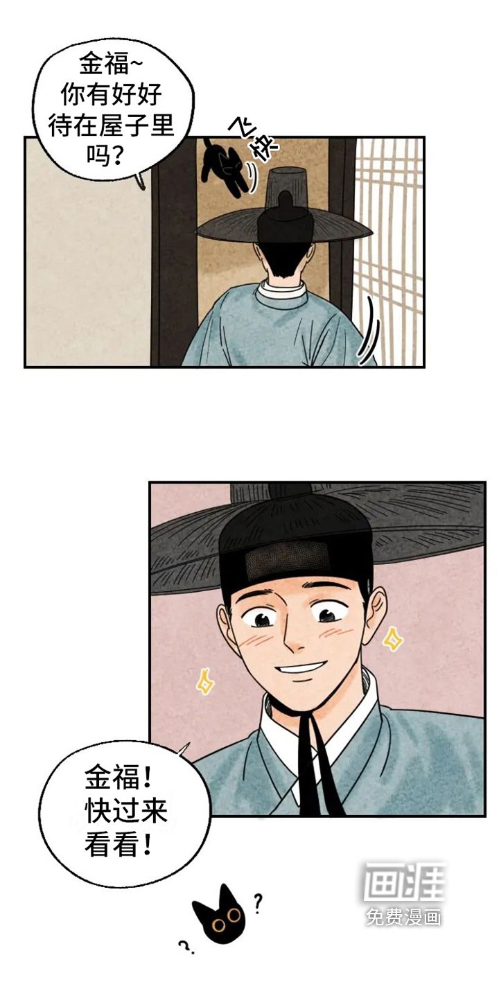 第13章：围巾