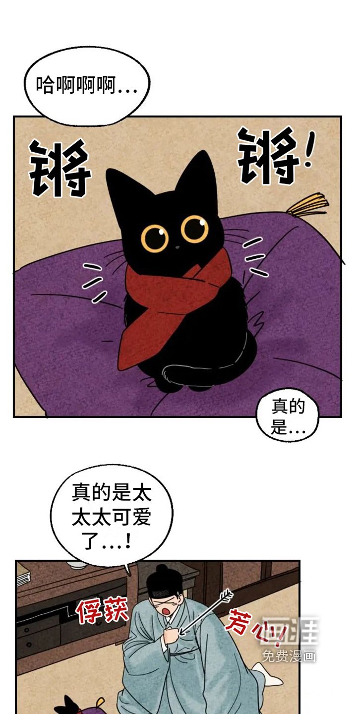 第13章：围巾