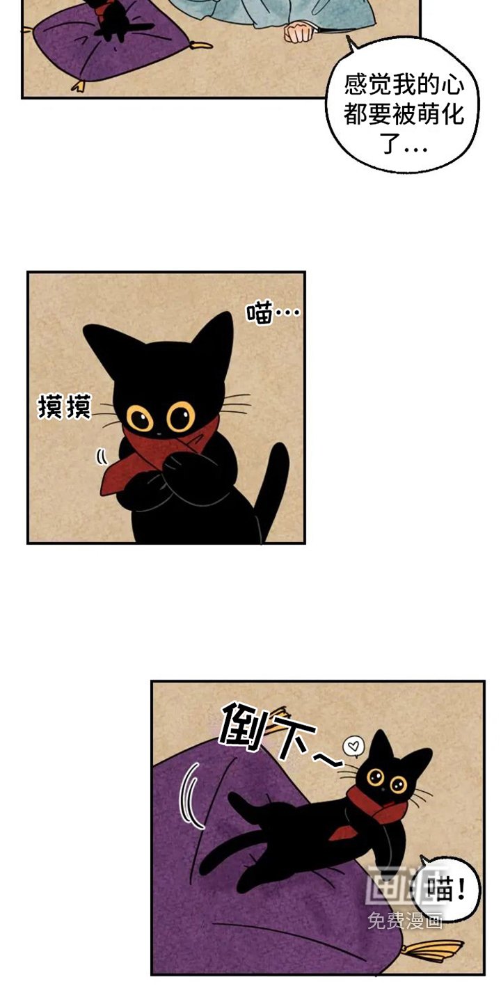 第13章：围巾