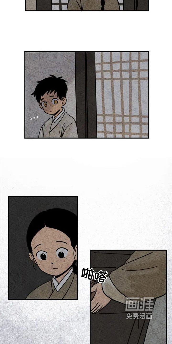 第14章：掉毛