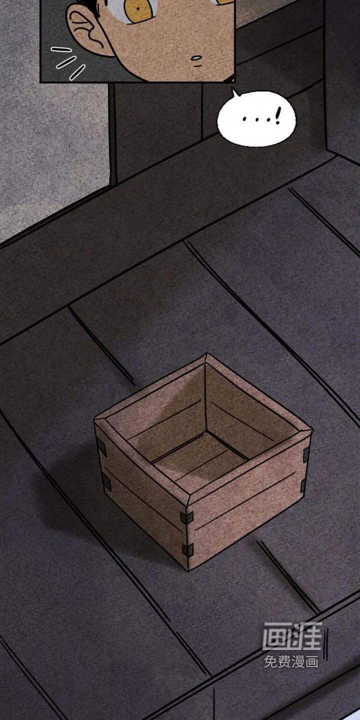 第14章：掉毛