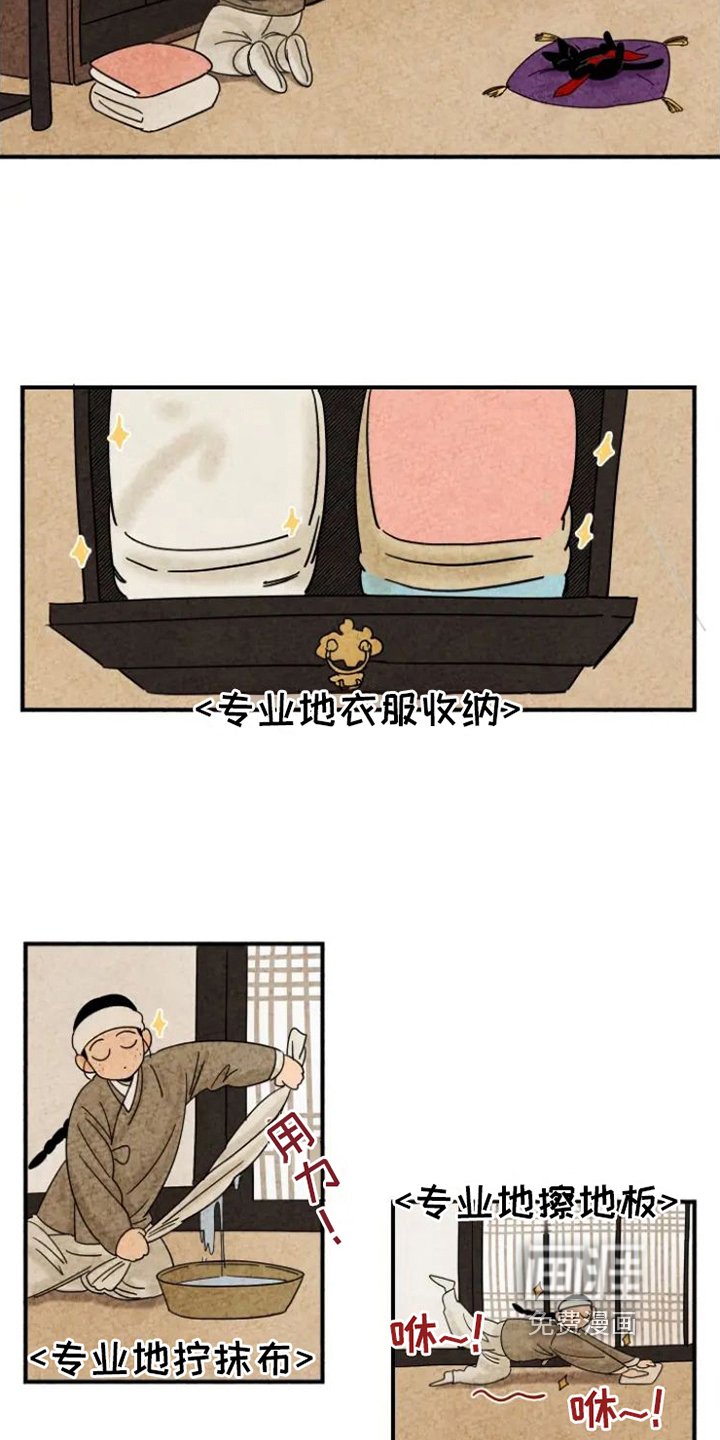 第14章：掉毛