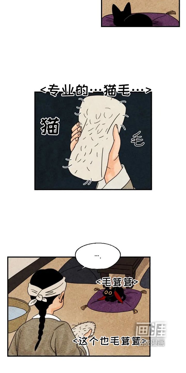 第14章：掉毛