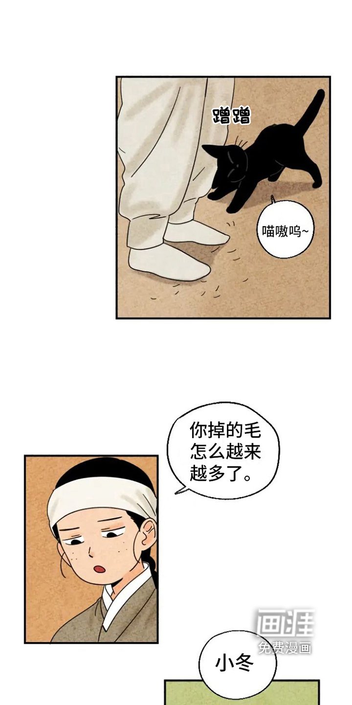 第14章：掉毛