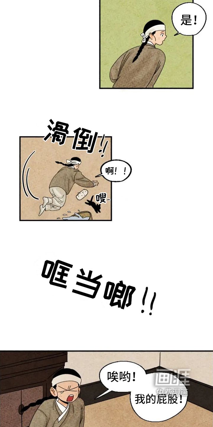 第14章：掉毛