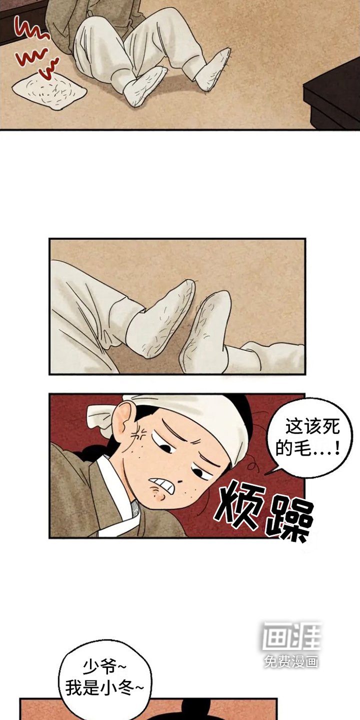 第14章：掉毛