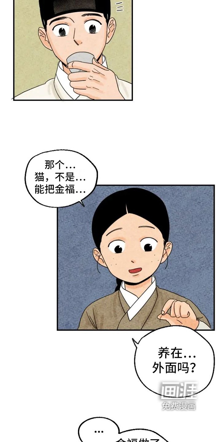 第14章：掉毛