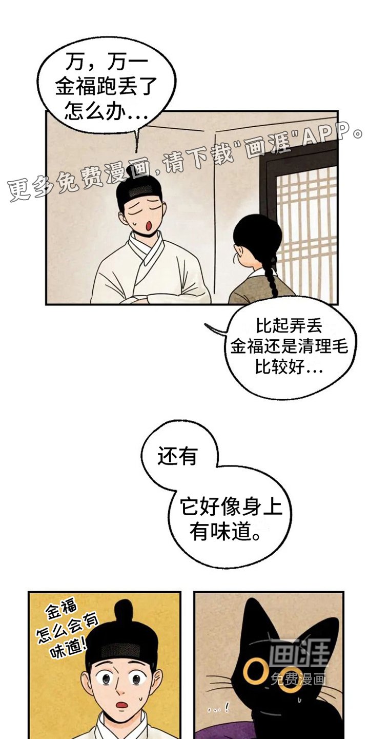 第15章：脏猫