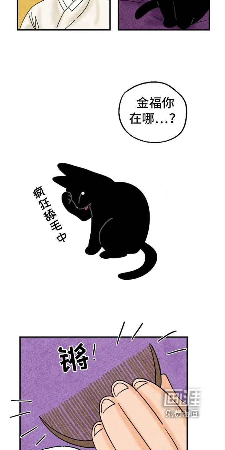 第15章：脏猫