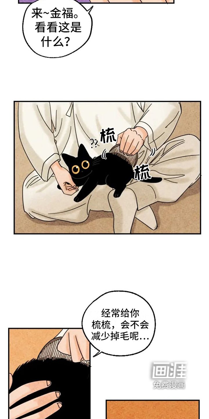 第15章：脏猫