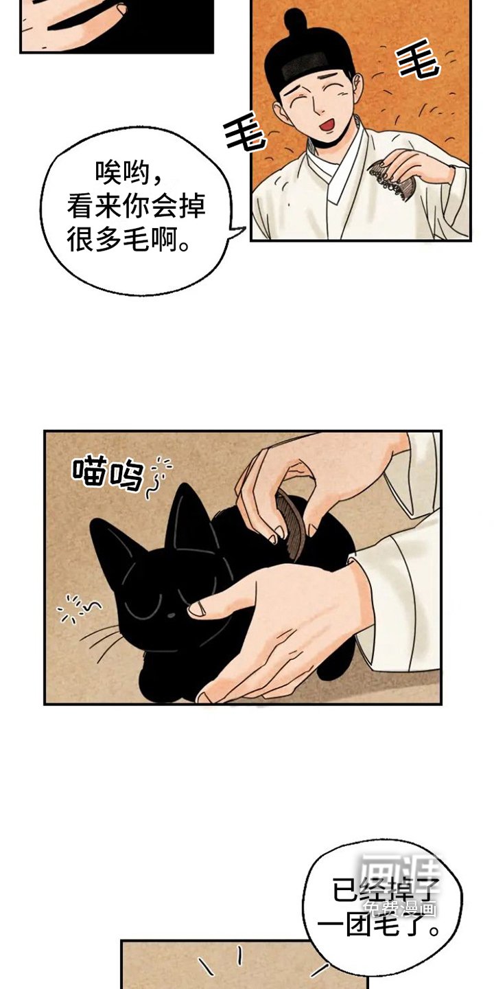 第15章：脏猫
