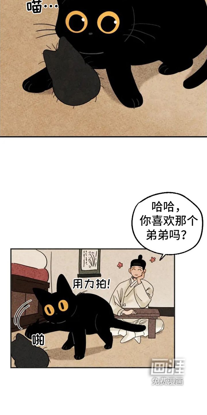 第15章：脏猫