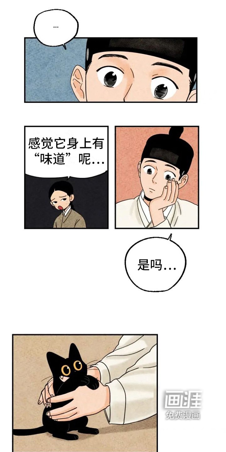 第15章：脏猫