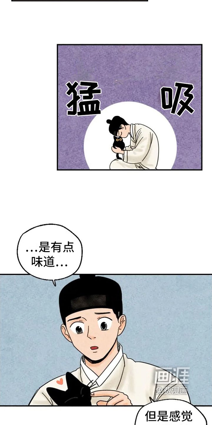 第15章：脏猫