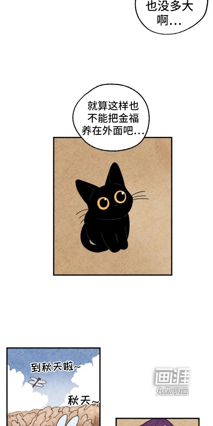 第15章：脏猫