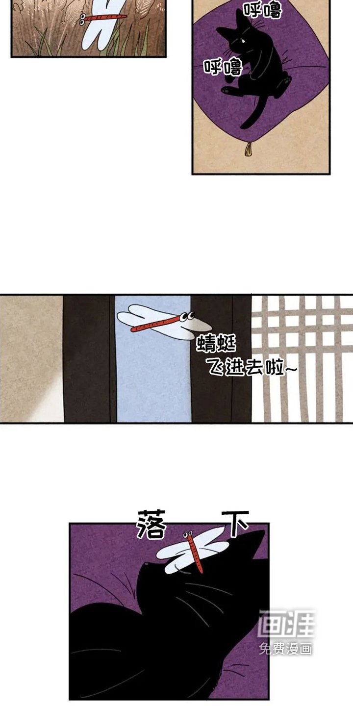 第15章：脏猫
