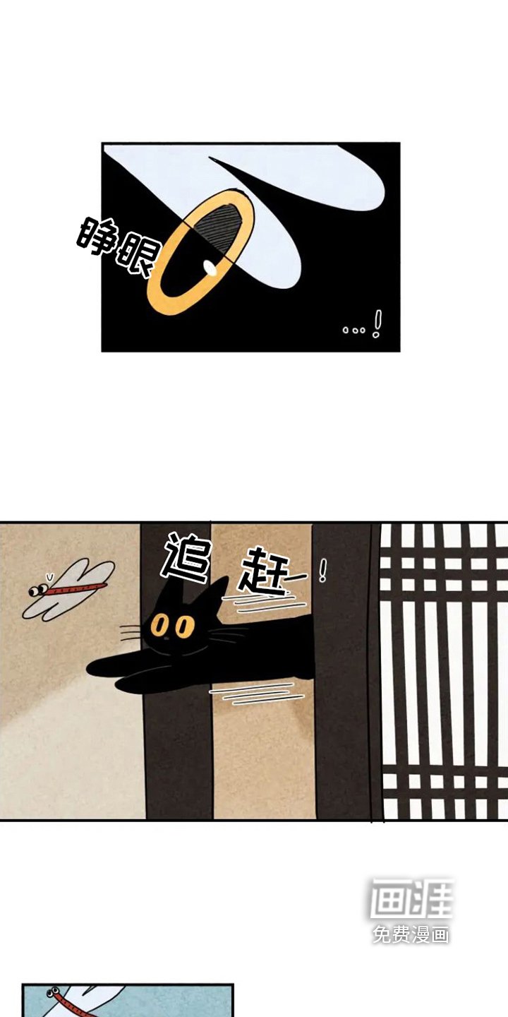 第15章：脏猫