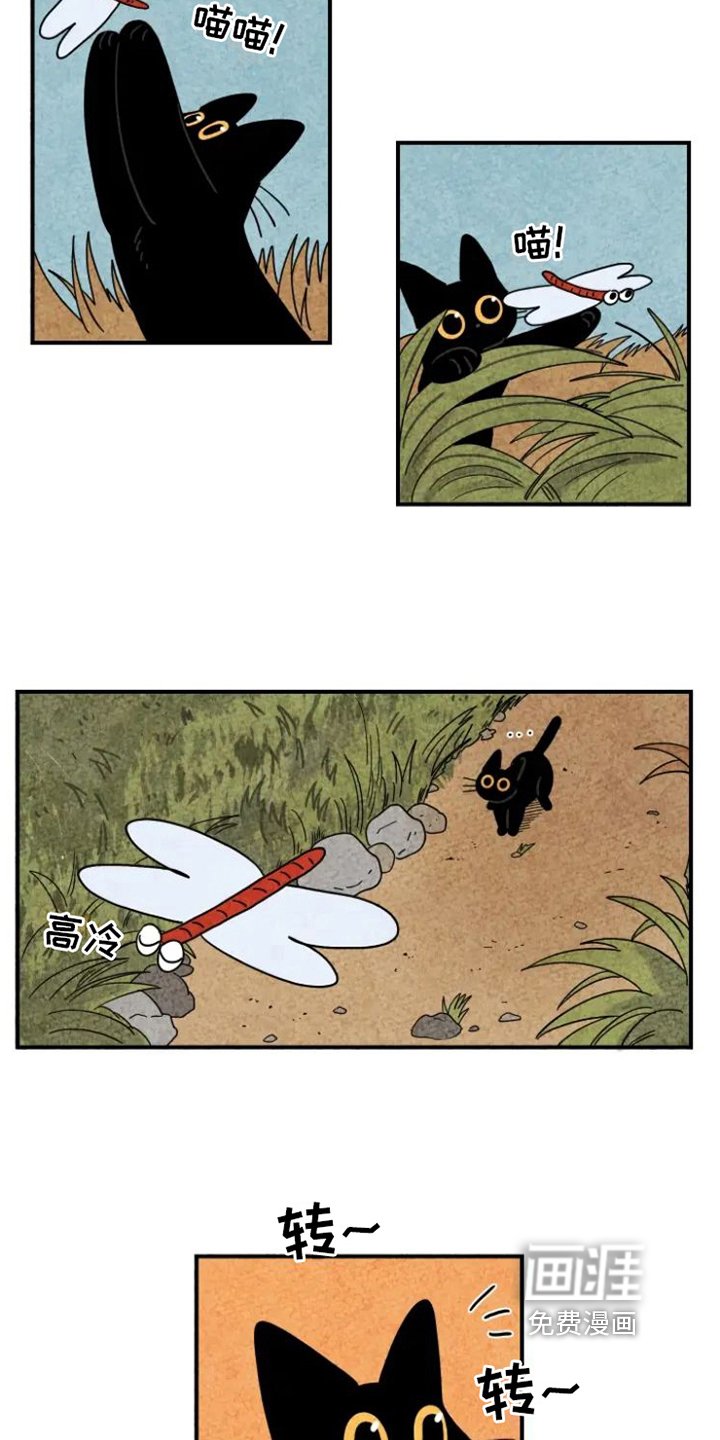 第15章：脏猫